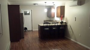 Basement Remodeling Costs