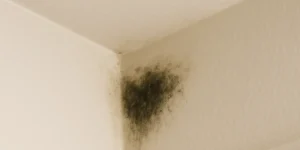 solving mold for good